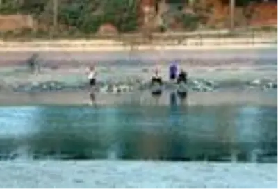 Suyu çekilen Seyhan Nehri'ne inip, balık için hayatlarını tehlikeye attılar Suyu çekilen Seyhan Nehri'ne inip, balık için hayatlarını tehlikeye attılar
