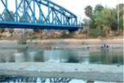Suyu çekilen Seyhan Nehri'ne inip, balık için hayatlarını tehlikeye attılar Suyu çekilen Seyhan Nehri'ne inip, balık için hayatlarını tehlikeye attılar