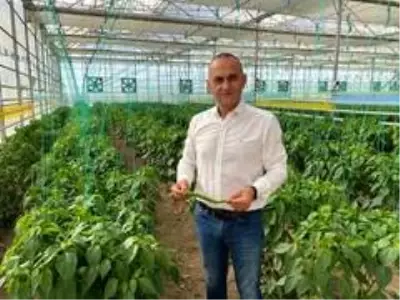 Türk mühendislerden yerli tohum hamlesi Türk mühendislerden yerli tohum hamlesi