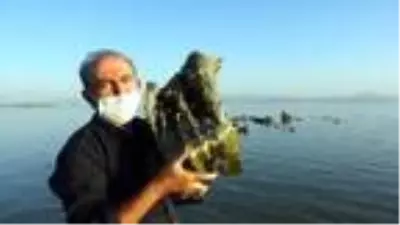 Son dakika haber... Van Gölü'nde sular çekilince mikrobiyalitler ortaya çıktı Son dakika haber... Van Gölü'nde sular çekilince mikrobiyalitler ortaya çıktı