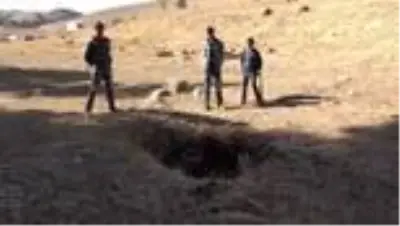 Yaralı bulunan bozayı tedavi altına alındı Yaralı bulunan bozayı tedavi altına alındı