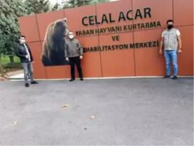 Son Dakika | Yavru ayılar Bursa'ya gönderildi Son Dakika | Yavru ayılar Bursa'ya gönderildi