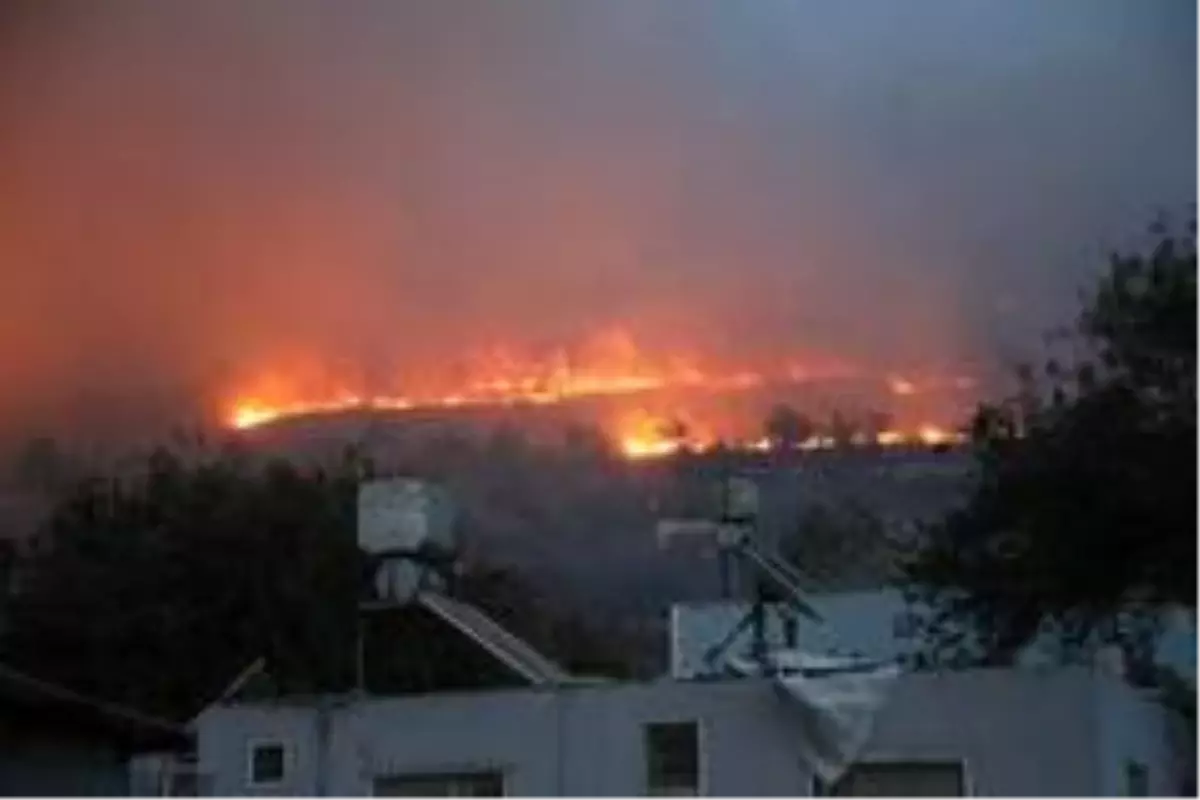 Son dakika haberi... Yayladağı'ndaki orman yangınına 1 tutuklama