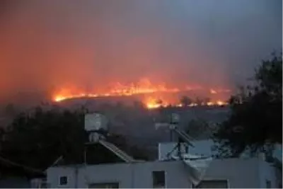 Son dakika haberi... Yayladağı'ndaki orman yangınına 1 tutuklama Son dakika haberi... Yayladağı'ndaki orman yangınına 1 tutuklama
