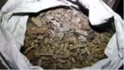 Yüzde 95'i çöpe giden Oltu taşını presleyerek ekonomiye kazandırdılar Yüzde 95'i çöpe giden Oltu taşını presleyerek ekonomiye kazandırdılar