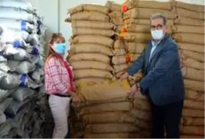 Aydın'da 140 ton fiğ ve arpa tohumu dağıtımı yapılıyor Aydın'da 140 ton fiğ ve arpa tohumu dağıtımı yapılıyor