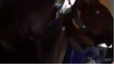 Son dakika haber! Bakan Pakdemirli enkaz altındaki Buse ile telefonla konuştu Son dakika haber! Bakan Pakdemirli enkaz altındaki Buse ile telefonla konuştu