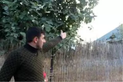 - Berde'deki saldırıda hayatını kaybeden annesinin ölüm haberini cephede aldı - Berde'deki saldırıda hayatını kaybeden annesinin ölüm haberini cephede aldı
