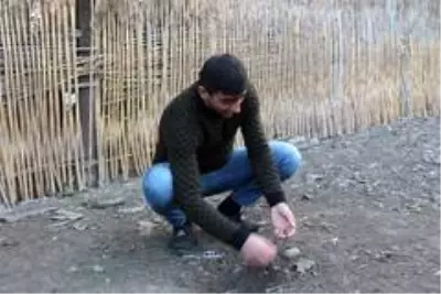 - Berde'deki saldırıda hayatını kaybeden annesinin ölüm haberini cephede aldı - Berde'deki saldırıda hayatını kaybeden annesinin ölüm haberini cephede aldı
