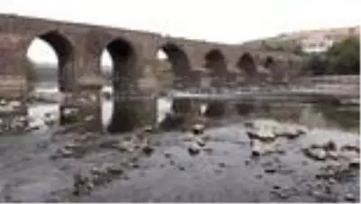 Doğal yaşamın zarar görmemesi için Dicle Nehri'ne 15 metreküp su verildi Doğal yaşamın zarar görmemesi için Dicle Nehri'ne 15 metreküp su verildi