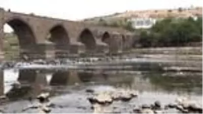 Doğal yaşamın zarar görmemesi için Dicle Nehri'ne 15 metreküp su verildi Doğal yaşamın zarar görmemesi için Dicle Nehri'ne 15 metreküp su verildi