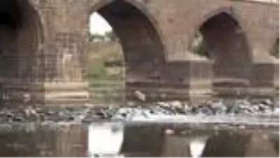Doğal yaşamın zarar görmemesi için Dicle Nehri'ne 15 metreküp su verildi Doğal yaşamın zarar görmemesi için Dicle Nehri'ne 15 metreküp su verildi