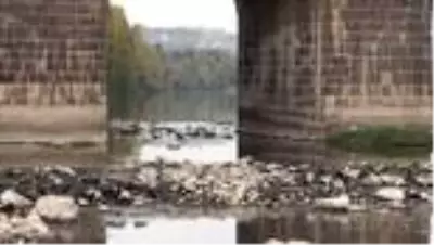 Doğal yaşamın zarar görmemesi için Dicle Nehri'ne 15 metreküp su verildi Doğal yaşamın zarar görmemesi için Dicle Nehri'ne 15 metreküp su verildi
