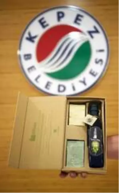 Dokuma'da zeytin hasadı Dokuma'da zeytin hasadı