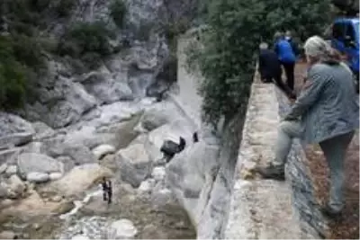 Son Dakika | Eşinin ölüm haberini alıp olay yerine gelen kadın gözyaşlarına boğuldu Son Dakika | Eşinin ölüm haberini alıp olay yerine gelen kadın gözyaşlarına boğuldu