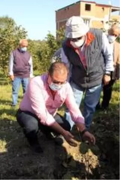 Fındıkta ezber bozuluyor Fındıkta ezber bozuluyor