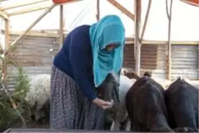 'Haydi Gel Köyümüze Destek Verelim Projesi', kadınların umudu oldu 'Haydi Gel Köyümüze Destek Verelim Projesi', kadınların umudu oldu