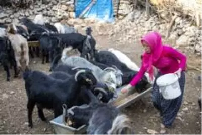 'Haydi Gel Köyümüze Destek Verelim Projesi', kadınların umudu oldu 'Haydi Gel Köyümüze Destek Verelim Projesi', kadınların umudu oldu