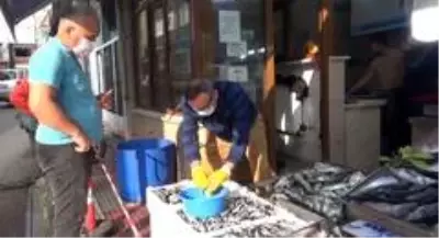 Karadeniz hamsisi tezgahlarda Karadeniz hamsisi tezgahlarda