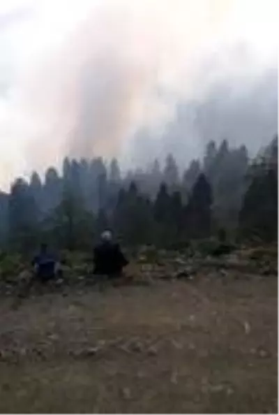 Son dakika haberleri... Kürtün'deki yangınlar kontrol altına alındı Son dakika haberleri... Kürtün'deki yangınlar kontrol altına alındı