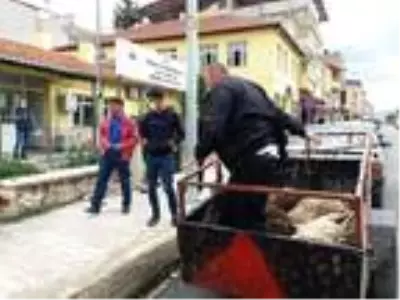 Ölen 6 kuzusunu, İlçe Tarım Müdürlüğü önüne bıraktı Ölen 6 kuzusunu, İlçe Tarım Müdürlüğü önüne bıraktı