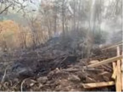 Son dakika haber: Ordu'da orman yangını Son dakika haber: Ordu'da orman yangını