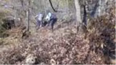 Son dakika haber: Ordu'da orman yangını Son dakika haber: Ordu'da orman yangını