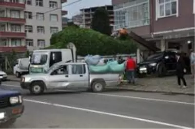 Özel sektör yaş çay alımlarını sürdürüyor Özel sektör yaş çay alımlarını sürdürüyor