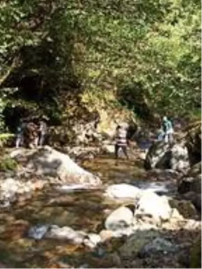 Rizeli gençler, derelerini çöplerden arındırdı Rizeli gençler, derelerini çöplerden arındırdı