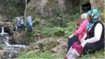 Rizeli gençler, derelerini çöplerden arındırdı Rizeli gençler, derelerini çöplerden arındırdı