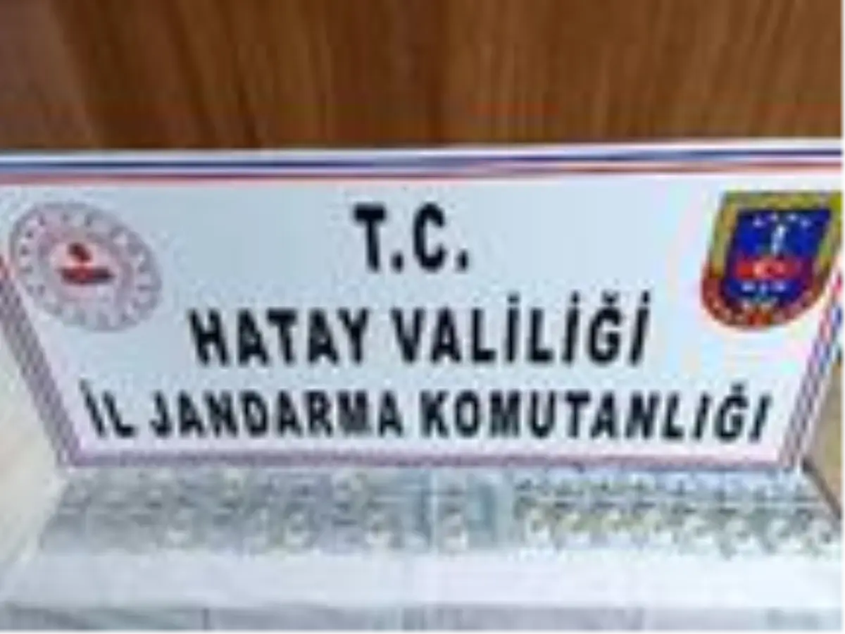Suriye sınırında yakalandı; çantasından sahte 156 bin dolar çıktı