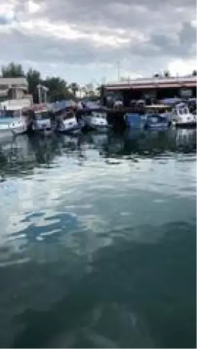 6.6 büyüklüğündeki depremde tsunami Sığacık'ı yerle bir etti 6.6 büyüklüğündeki depremde tsunami Sığacık'ı yerle bir etti
