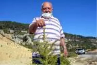 Yeşil aşığı Musa Eroğlu, heyelana karşı önlem istiyor Yeşil aşığı Musa Eroğlu, heyelana karşı önlem istiyor