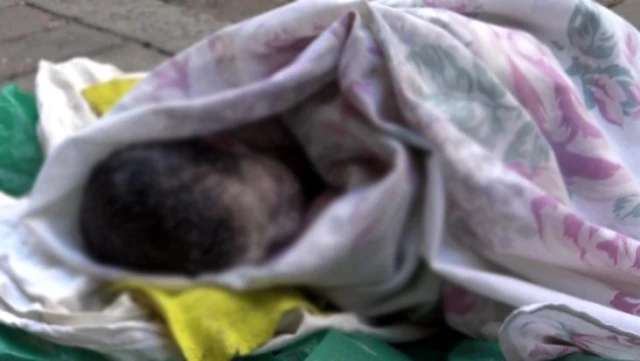 Ailesinden gizlice doğum yapan 14 yaşındaki kız çocuğunun bebeği, derin dondurucuda bulundu