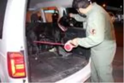 Adana?da helikopter destekli narkotik uygulaması yapıldı Adana?da helikopter destekli narkotik uygulaması yapıldı