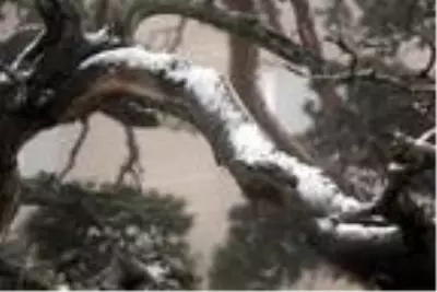 Bolu'ya mevsimin ilk karı düştü Bolu'ya mevsimin ilk karı düştü