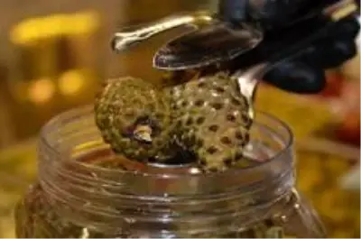 Çam kozalağından denemelik turşu yapmaya başlamıştı, şimdi taleplere yetişemiyor