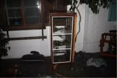 Deprem sonrası denizde ürperten görüntü Deprem sonrası denizde ürperten görüntü