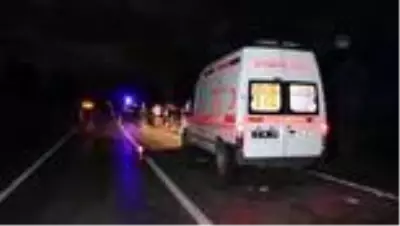 Devrilen otomobilin sürücüsü öldü Devrilen otomobilin sürücüsü öldü
