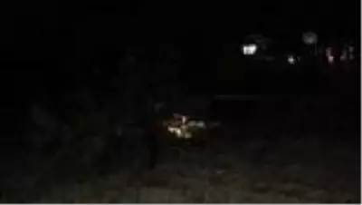 Devrilen otomobilin sürücüsü öldü Devrilen otomobilin sürücüsü öldü