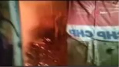 Hayvanların bulunduğu ahır alev alev yandı Hayvanların bulunduğu ahır alev alev yandı