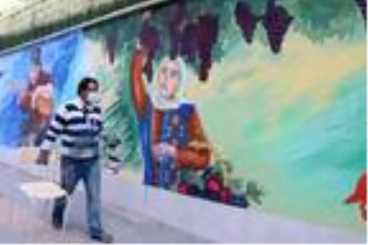 İranlı ressam, Hakkari duvarlarını klasik minyatürle süslüyor