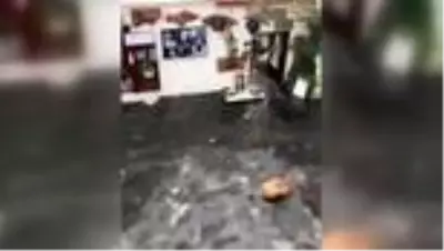 Son dakika haberi... İzmir'deki deprem - Denizin yükselmesi ile Seferihisar sokakları su altında kaldı Son dakika haberi... İzmir'deki deprem - Denizin yükselmesi ile Seferihisar sokakları su altında kaldı
