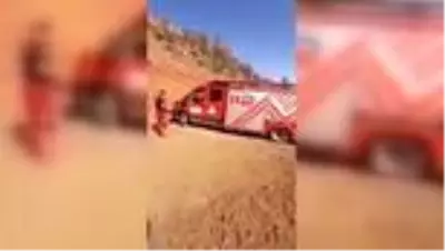 Son Dakika | Kayalıkta mahsur kalan keçileri itfaiye kurtardı Son Dakika | Kayalıkta mahsur kalan keçileri itfaiye kurtardı
