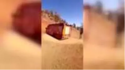 Son Dakika | Kayalıkta mahsur kalan keçileri itfaiye kurtardı Son Dakika | Kayalıkta mahsur kalan keçileri itfaiye kurtardı