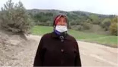 Mantar toplamak için ormana izinsiz girenlere para cezası verildi Mantar toplamak için ormana izinsiz girenlere para cezası verildi