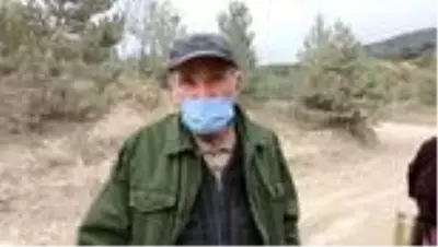 Mantar toplamak için ormana izinsiz girenlere para cezası verildi Mantar toplamak için ormana izinsiz girenlere para cezası verildi