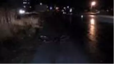 Otomobilin çarptığı bisikletli çocuk öldü Otomobilin çarptığı bisikletli çocuk öldü