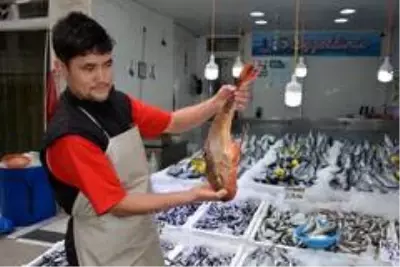 Sinop'ta 2 kiloluk kırlangıç balığı yakalandı Sinop'ta 2 kiloluk kırlangıç balığı yakalandı