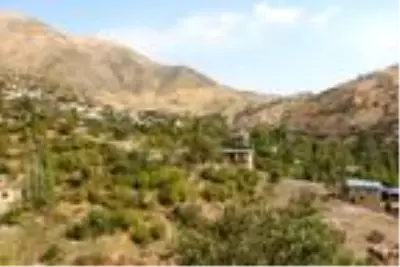 Son dakika haberi! Şırnaklı Menica Nine, 120 yaşına rağmen koronavirüsü yendi Son dakika haberi! Şırnaklı Menica Nine, 120 yaşına rağmen koronavirüsü yendi